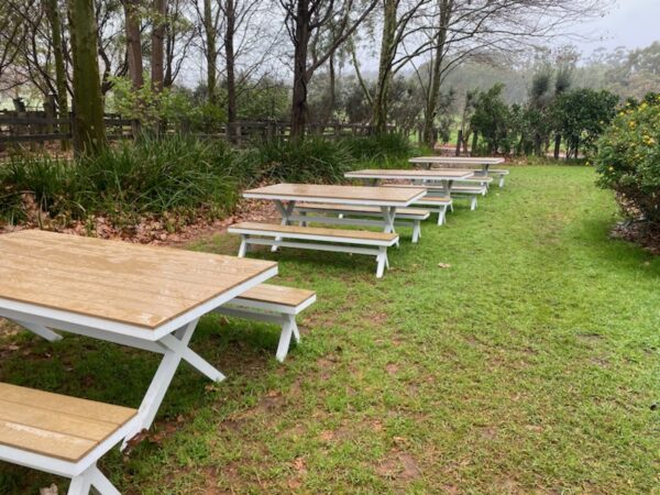 Bench Picnic Table - Image 3